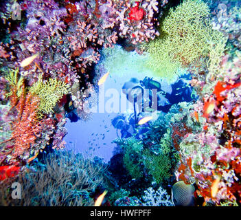 Eine Höhle auf Kuredu Island auf den Malediven tauchen Stockfoto