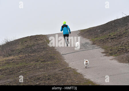 Berlin, Deutschland. 14. März 2017. Ein Mann rennt die Drachenburg ("Drachen-Berg") mit zwei Hunden in Berlin, Deutschland, 14. März 2017. Foto: Paul Zinken/Dpa/Alamy Live News Stockfoto