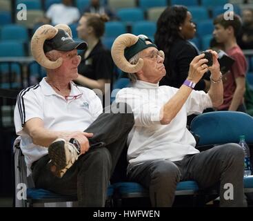 Reno, Nevada, USA. 20. März 2017. Reno Bighorn Fans sportlicher ihren großen Hörnern während der NBA D-League Basketball-Spiel zwischen den Reno Dickhornschafe und die Texas Legends Reno Events Center in Reno, Nevada. Bildnachweis: Jeff Mulvihill/ZUMA Draht/Alamy Live-Nachrichten Stockfoto