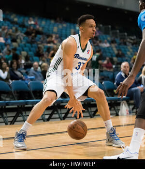 Reno, Nevada, USA. 20. März 2017. Reno Bighorn Guard REGGIE HEARN (37) arbeitet in der Ecke während der NBA D-League Basketball-Spiel zwischen Reno Dickhornschafe und die Texas Legends Reno Events Center in Reno, Nevada. Bildnachweis: Jeff Mulvihill/ZUMA Draht/Alamy Live-Nachrichten Stockfoto