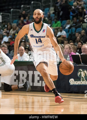 Reno, Nevada, USA. 20. März 2017. Reno Bighorn Guard KENDALL MARSHALL (14) während der NBA D-League Basketball-Spiel zwischen den Reno Dickhornschafe und die Texas Legends Reno Events Center in Reno, Nevada. Bildnachweis: Jeff Mulvihill/ZUMA Draht/Alamy Live-Nachrichten Stockfoto