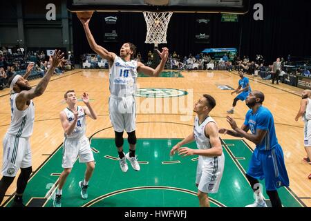 Reno, Nevada, USA. 20. März 2017. Reno Bighorn Guard Jesaja COUSINS (10) reißt eine Erholung während der NBA D-League Basketball-Spiel zwischen Reno Dickhornschafe und die Texas Legends Reno Events Center in Reno, Nevada. Bildnachweis: Jeff Mulvihill/ZUMA Draht/Alamy Live-Nachrichten Stockfoto