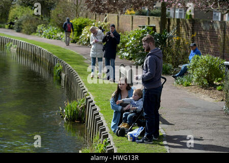 Westgate Park, Canterbury, Kent, UK. 21. März 2017. Besucher nach Canterbury in Kent nutzen das schöne Wetter von Stechkahn fahren am Fluss Stour große Westgate Park passieren. Kälte wird voraussichtlich noch in dieser Woche durch das Land fegen wenn Winter eine Rückkehr macht in was die offizielle erste Woche des Frühlings ist 21. März 2017 Credit: MARTIN DALTON/Alamy Live News Stockfoto