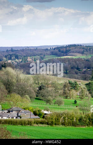 Der Jakobsweg, Guildford, UK. 21. März 2017. Schönen Frühlingssonnenschein über den Home Counties heute Nachmittag. Die North Downs in der Nähe von Guildford in Surrey. Bildnachweis: James Jagger/Alamy Live News Stockfoto