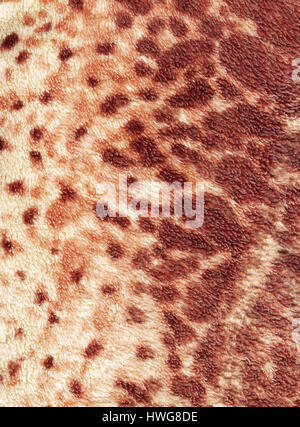 Leopard Textur als schönen Hintergrund Stockfoto