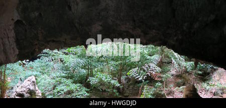 Eröffnung in einer Höhle im Nationalpark Khao Sam Roi Yot, Thailand Stockfoto