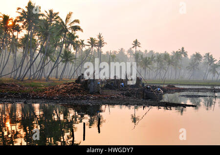 Fischer Boot nähert sich See Seite Markt Fisch in den frühen Morgenstunden am Kadinamkulam See in Chirayinkeeshu.thiruvananthpuram zu verkaufen. Stockfoto