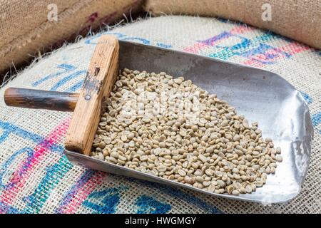 Frankreich, Seine Maritime, Le Havre, Brulerie du Havre de Grâce produzieren die Kaffees Charles Danican, noch nicht geröstete Kaffeebohnen Stockfoto