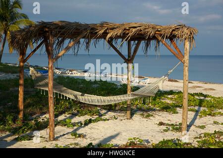 Kuba, Pinar del Rio, Cayo Levisa, Hängematte am Strand des Hotels Cayo Levisa, vor dem Atlantischen Ozean Stockfoto