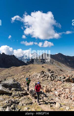 Italien, Valle d'Aosta, Aosta, Pila, Wanderer Wandern im Tal des Arbolle in Richtung Col de La Valette (3242 m) im Hintergrund der Gipfel des Grivola (3 969 m) Stockfoto