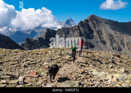 Italien, Valle d'Aosta, Aosta, Pila, Wanderer Wandern im Tal des Arbolle in Richtung Col de La Valette (3242 m) im Hintergrund der Gipfel des Grivola (3 969 m) Stockfoto