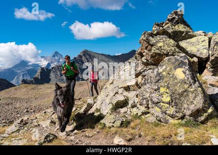 Italien, Valle d'Aosta, Aosta, Pila, Wanderer Wandern im Tal des Arbolle in Richtung Col de La Valette (3242 m) im Hintergrund der Gipfel des Grivola (3 969 m) Stockfoto