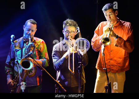 BARCELONA - 27 Mai: Antibalas (Afrobeat Band) im Konzert im Heineken Primavera Sound Festival 2014 (PS14) am 27. Mai 2014 in Barcelona, Spanien. Stockfoto