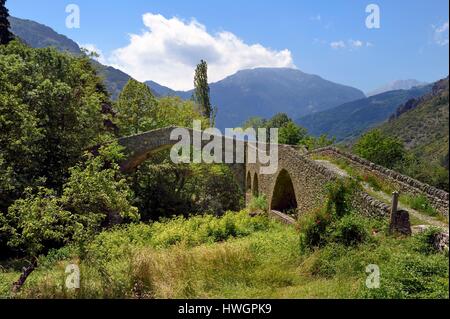 Frankreich, Alpes Maritimes, Roya-Tal, La Brig, Hahn-Brücke, Römerbrücke Stockfoto