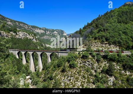 Frankreich, Alpes de Haute Provence, Les Scaffarels in Annot, dem Train des Pignes historischen Zug überqueren Donne Viadukt Stockfoto