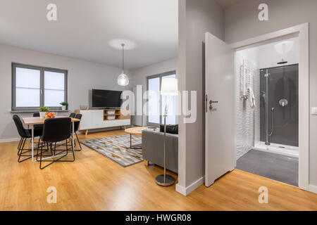 Neue, moderne Wohnung mit geräumigen Wohnzimmer und ein elegantes Badezimmer Stockfoto