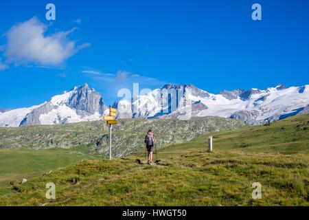 Frankreich, Isere, Oisans-Massivs, GR 54 Wanderweg auf dem Plateau d'Emparis, Meije Gipfel im Nationalpark Ecrins im Hintergrund Stockfoto