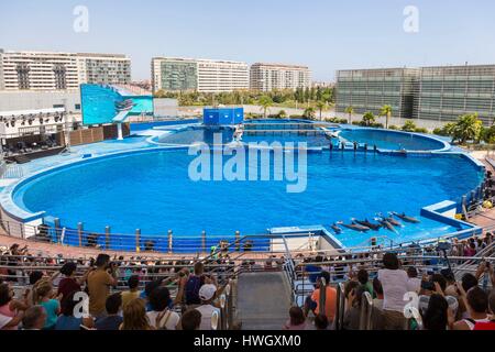 Spanien, Valencia, Stadt der Wissenschaften und Künste, Oceanogràfic, der größte ozeanographische Park in Europa, das Delphinarium Stockfoto