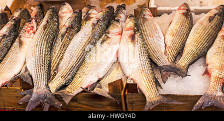 Frischen Fisch auf dem Vucciria Markt in Palermo, Sizilien Stockfoto