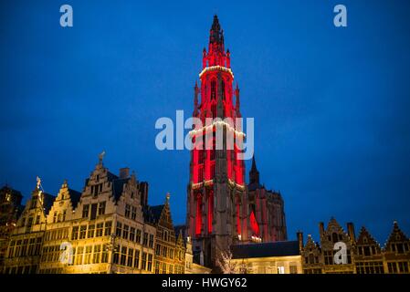 Belgien, Antwerpen, Groenplaats, Onze-Lieve-Vrouwekathedraal Kathedrale, Winter, Dämmerung Stockfoto