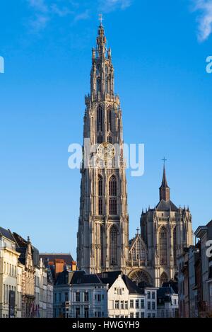 Belgien, Antwerpen, Groenplaats, Onze-Lieve-Vrouwekathedraal Turm der Kathedrale Stockfoto