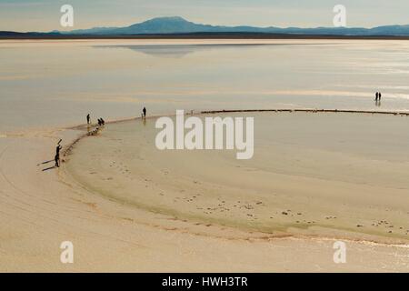 Daniel Campos Provinz, Potosi, Bolivien, Salar de Uyuni, Colchani, Salz Ernte (Luftbild) Stockfoto