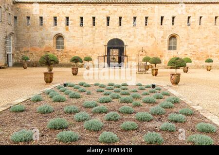 Frankreich, Aude, Le Pays Cathare (Land der Katharer), Narbonne, Ehrenhof der Abteikirche Sainte-Marie de Fontfroide Stockfoto