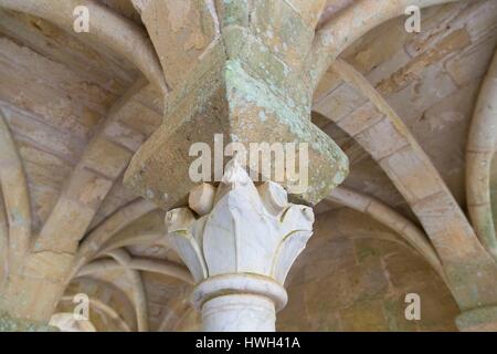 Frankreich, Narbonne, Aude, Le Pays Cathare (Land der Katharer) Kreuzgang in Sainte Marie de Fontfroide Abteikirche, Detail einer Hauptstadt in den Kapitelsaal Stockfoto