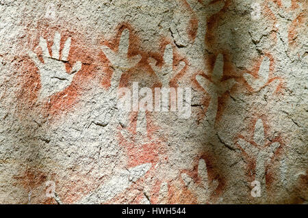 Aboriginal Felsmalereien im Carnarvon Nationalpark, Queensland, Australien Stockfoto