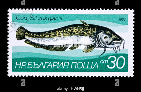 Briefmarke aus Bulgarien Darstellung Wels Wels (Silurus Glanis) Stockfoto