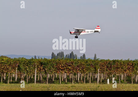 Flugzeug auf die Ausweisung Starling?-Sterreich, Austria, Burgenland, national park neue Kolonisten See, Ilmitz, Wein Anbau, Weinberg, Flugzeug, eine Stockfoto