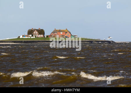 "Westerwarft auf Hallig Hooge, Deutschland; Schleswig - Holstein; Nord-Fries-Land; Hallig Hooge, Westerwarft, Insel; Schaum-Kronen, Wellen, Watt, w Stockfoto