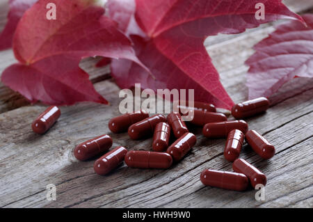 Boston-Efeu verlassen und Pillen, Parthenocissus Tricuspidata Blatt wilder Wein und Tabletten innen, Studio, indoor, Boston-Efeu verlassen und Pillen / (Parthenoc Stockfoto