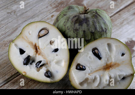 Cherimoya, Annona Cherimola Früchte, Obst, Creme Apfelpflanzen, Annonaceae, innen, Studio, indoor, Cherimoya / (Annona Cherimola) / Fruechte, Frucht, Stockfoto