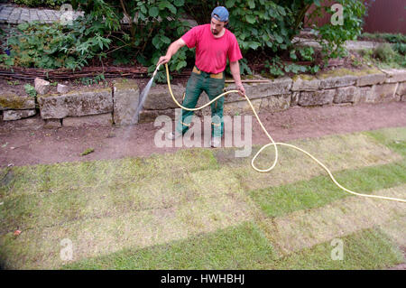 Verlegung von Sod, Übertragung des rollenden Rasen, anschlagen, Verlegung von Sod | Verlegung von Rollrasen, angiessen Stockfoto