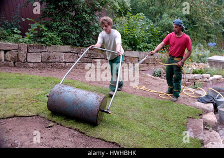 Verlegung Sod, Übertragung des rollenden Rasen, anschlagen und Walzer, Verlegung von Sod | Verlegung von Rollrasen, Angiessen Und walzen Stockfoto