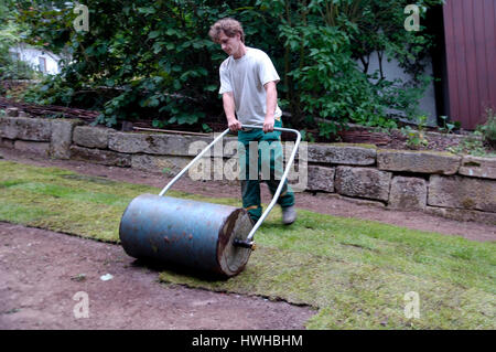 Verlegung von Sod, Übertragung des rollenden Rasen, Roll, Verlegung Sod | Verlegung von Rollrasen, walzen Stockfoto