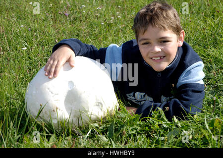 Bell-Boy mit Riesen Pouf Ball, Langermannia Gigantea, junge mit Riesenbovist, Langermannia Gigantea Jung Essen Pilz, junge mit Giant Puffball / () Stockfoto