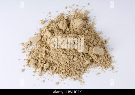 Coprinus Comatus, Schopftintlinge Pulver, Coprinus Comatus Sanierungsmaßnahmen Pilze, zottigen Farbkappen Pulver, Shaggy Farbkappen Pulver / (Coprinus Comatus) | S Stockfoto