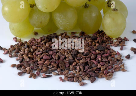 Gemeinsamen Trauben, Rebe Trauben-Samen, Vitis Vinifera, Weinrebe, echte Weinrebe, Samen, Kerne, Vitis Vinifera Frucht Kerne, Öllieferanten, Wein Samen, Haufen von Trauben c Stockfoto