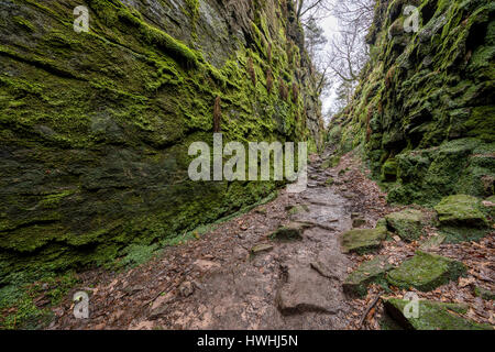 Lud die Kirche ist eine schmale Kluft-Schlucht in den Mühlstein Grit über dem Dane-Tal in der Nähe von Gradbach Staffordshire UK Stockfoto