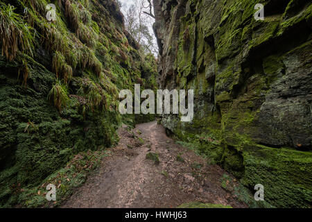 Lud die Kirche ist eine schmale Kluft-Schlucht in den Mühlstein Grit über dem Dane-Tal in der Nähe von Gradbach Staffordshire UK Stockfoto