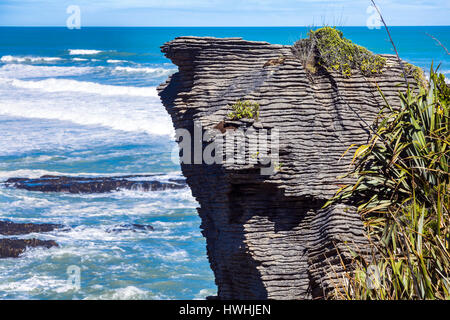 Pancake Rocks in Punakaiki, Neuseeland Stockfoto