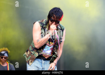 BARCELONA - 29 Mai: Julian Casablancas und The Voidz (Band) in Konzert im Primavera Sound Festival 2015 am 29. Mai 2015 in Barcelona, Spanien. Stockfoto