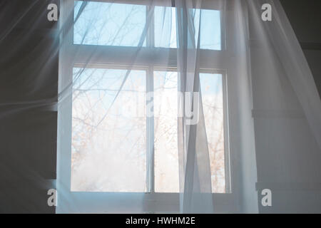 Weiße transparente Vorhänge am Fenster mit blauen Frühlingshimmel, innen-Ansicht Stockfoto