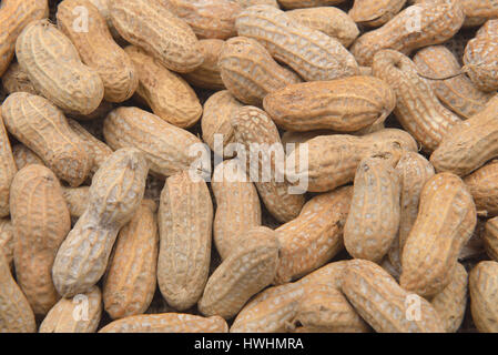 Eine Menge Erdnüsse in der Schale für den Hintergrund. Rohe Erdnüsse in einen Bauernmarkt. Stockfoto