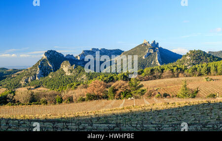 / Frankreich, Vaucluse, Suzette, Dentelles de Montmirail und Beaumes-de-Venise Weinberg im winter Stockfoto