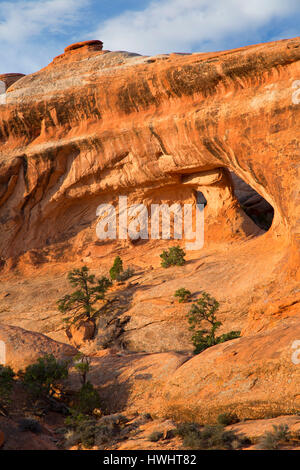 Partition Arch auf Devils Garden Trail, Arches-Nationalpark, Utah Stockfoto