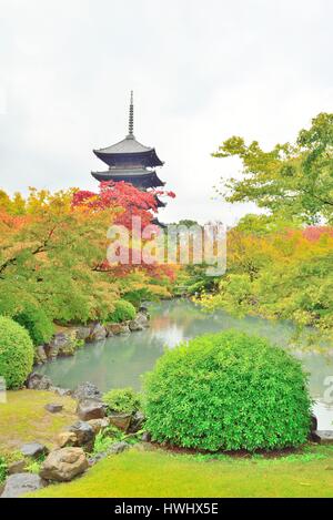Fünf berühmte Pagode und Herbst fährt um Toji Tempel in Kyoto, Japan Stockfoto
