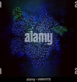 Bearbeitung komplexer von Streptococcus Pyogenes CRISPR-CAS9-gen. Das Cas9-Nuklease-Protein verwendet ein Guide RNA-Sequenz um zu DNA an eine ergänzende Website zu schneiden. Stockfoto